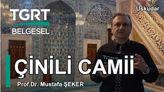 ÇİNİLİ CAMİİ  ProfDr Mustafa ŞEKER  Belgesel  tgrtbelgeseltv [upl. by Hercules714]