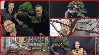 Ho voluto insegnare il bonsai ad un mio allievo in un modo particolare [upl. by Garald534]