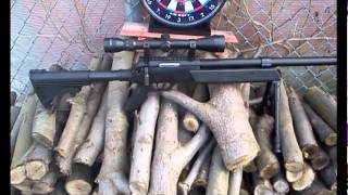 Airsoft Well Fire Aps Sr2 gun review [upl. by Leibarg616]