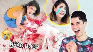 WHAT DID YOU DO TO KAYA DEAD DOG PRANK on Girlfriend【PRANKING MOOCHI】  MiniMoochi [upl. by Aymahs]