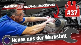 Jürgen am Limit  allein gegen die AudiGlühkerze 45 Jahre Erfahrung vs drohende Kostenexplosion [upl. by Ahsiya696]