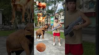 Rounding coconuts Deer Elephant Dog amp Cow Animals names magic video [upl. by Merfe420]