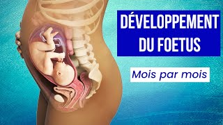 LA GROSSESSE  Le Développement du Foetus Mois par Mois [upl. by Hewart]