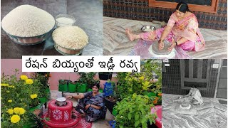 రేషన్ బియ్యంతో ఇడ్లీ రవ్వ  ఉప్పుడు రవ్వ ఇంట్లోనే మనమే చేసుకోవచ్చు  idli ravva preparation at home [upl. by Eaneg]