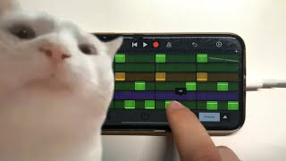 Ievan Polkka Cat Vibing Meme Song on iPhone GarageBand [upl. by Nereen]