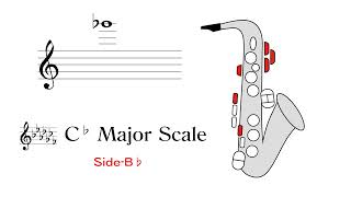 C♭ Major アルトサックスの運指 Side B♭ [upl. by Holtz790]