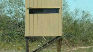 Grande Hunts 8 South Texas Deer Lease Work Feeding amp Scouting October 2010 [upl. by Anastasius470]