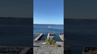 Beautiful summer in sandhamn stockholm sweden scandinavia europetravel summerineurope beach [upl. by Amilas]