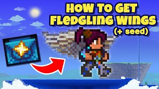 How to get FLEDGLING Wings in Terraria  Seed [upl. by Anilecram]