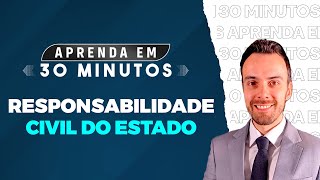 Responsabilidade Civil do Estado  Evolução das teorias  PARTE 1 [upl. by Assadah369]