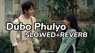 Dubo Phulyo  Dayahang Rai SlowedReverb  Kabaddi Kabaddi Kabaddi movie song  BNK Reverb [upl. by Christabel]