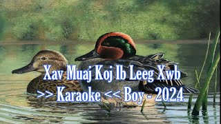 Xav muaj koj ib leeg xwb  Boy 2024  Disco [upl. by Sile]