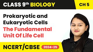 Prokaryotic and Eukaryotic Cells  The Fundamental Unit Of Life Cell  Class 9 Biology Ch 5  CBSE [upl. by Dougal142]