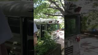 Abandoned buses at school music scary subscribe [upl. by Yllier161]