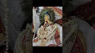 Allah de Bandeya radheradhe vrindavan shortvideo bpraak [upl. by Aik891]