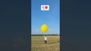 how many balloons does it take to fly🤔🤔 MrBeast [upl. by Ainod]