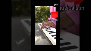 Piano Folding piano 88 keys  carry anywhere  TAAL MUSICALS [upl. by Ennovoj]