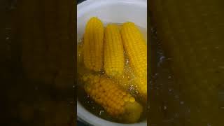 Boiling sweet corn for our snacks trending youtubeshorts [upl. by Ilyse582]