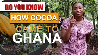 TETTEH QUARSHIE COCOA FARM  THE 1ST COCOA FARM IN GHANA [upl. by Ivek991]