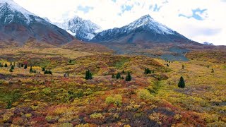 The Auriol Trail  Kluane National Park and Reserve [upl. by Portie]