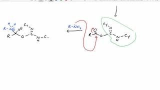 Peptide Synthesis [upl. by Eiramit]