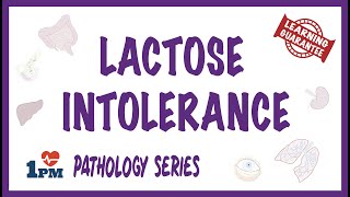 Lactose Intolerance  Pathophysiology Causes Signs and symptoms [upl. by Courtenay805]