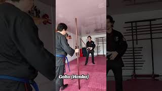 Técnicas con bastón largo goho youtubeshorts bujinkan ninjatraining [upl. by Airom803]