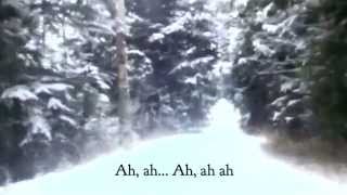 quotThe Ice Age Songquot  Lyric Video [upl. by Aneeroc326]