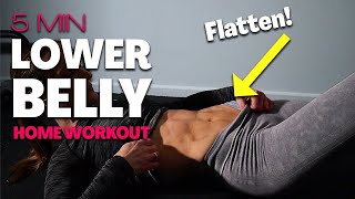 5 Min LOWER BELLY Workout at Home No Equipment [upl. by Hollyanne]