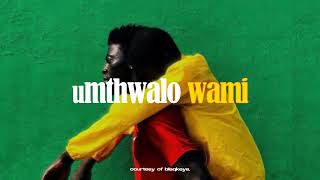 Umthwalo Wami Gwijo [upl. by Frohne]