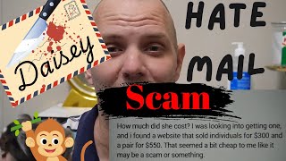 Monkey SCAMMERS Bad Monkey Dad Loses Baby Respond Comments petmonkey lovepets [upl. by Notniuq]