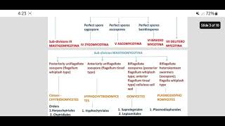 Classification of Fungi by Ainsworth Classification fungi mycology botany education [upl. by Gnilrets425]