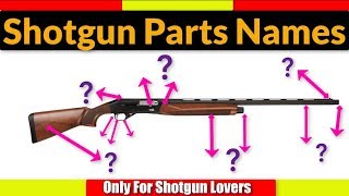 Shotgun English Parts Names  Shotgun [upl. by Adella]