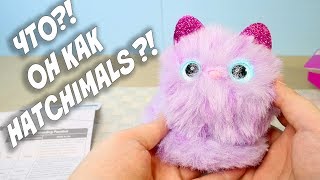 Умный Котенок Пушистик Помси Pomsies НЕ ХУЖЕ HATCHIMALS [upl. by Fortunio38]