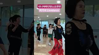 여기서Linedance곡명 여기서 가수 서지오 시니어라인댄스 현주쌤라인댄스 라인댄스전문지도사현주 [upl. by Housum]