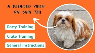 How to Train a Shih Tzu  Potty Training amp Crate Training [upl. by Galen]