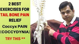 2 BEST Exercises For Tail bone Pain Coccydynia CoccyxTail Bone Pain Relief Treatment at Home [upl. by Culver577]