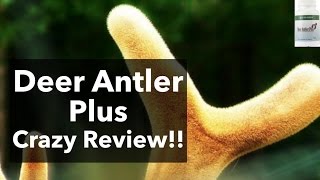 Deer Antler Plus Review How To Increase Igf 1 Naturally [upl. by Poul855]