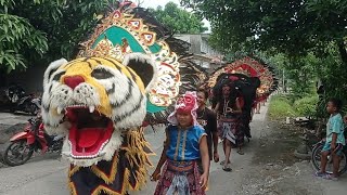 Singo Barong Dewa Dewi Cari Mangsa Di Karangawen [upl. by Laamak93]