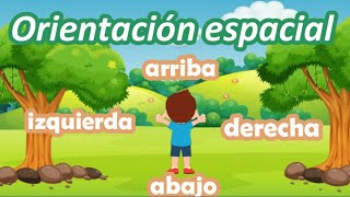 Arriba abajo izquierda y derecha para niños  Orientación espacial para niños [upl. by Lehteb442]