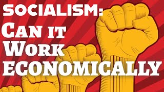 Socialism Does it Work Economically Let Alone Morally [upl. by Adnirol587]