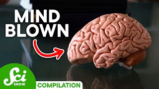 5 Brain Facts That Will Blow Your Mind [upl. by Atorod]