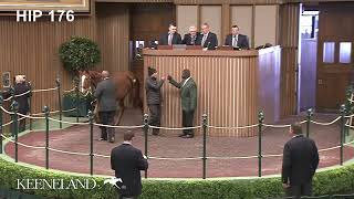 Justly sells for 410000 at 2022 Keeneland January [upl. by Nnaik]