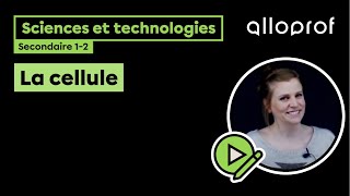 La cellule  Sciences et technologies  Alloprof [upl. by Ecirtaemed]