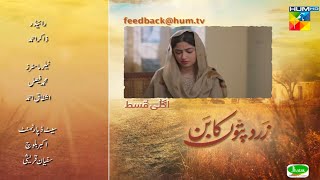 Zard Patton Ka Bunn Next Episode 16 Sajal Aly  Hamza Sohail Reviews With Iqra [upl. by Nede]