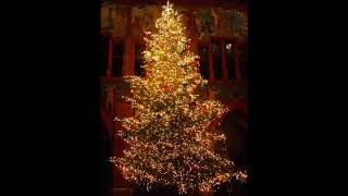 Celtic Woman O Tannenbaum Instrumental [upl. by Shawnee280]