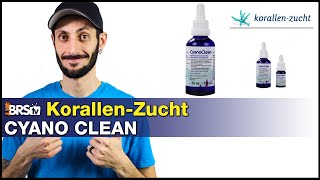 KorallenZucht Cyano Clean A natural way to eliminate Cyanobacteria and keep it away [upl. by Asikal]