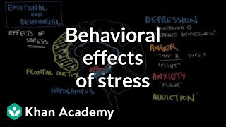 Behavioral effects of stress  Processing the Environment  MCAT  Khan Academy [upl. by Servetnick]