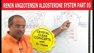 Renin Angiotensin Aldosterone System  RAAS Part 5👨‍⚕️ [upl. by Frannie]