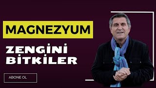 EN ÇOK MAGNEZYUM İÇEREN BESİNLER EN İYİ MAGNEZYUM TAKVİYESİ [upl. by Moia]